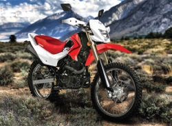 irbis--ttr-250